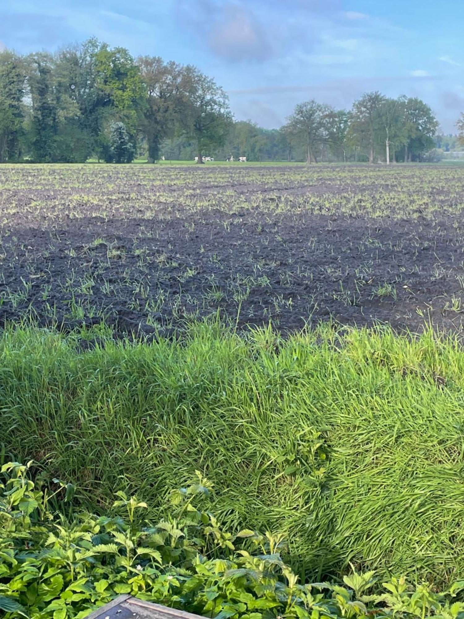De Rode Zonnehoed Scherpenzeel  Buitenkant foto